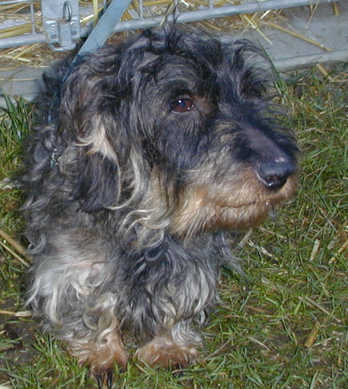 9206 Peta2-V.jpg